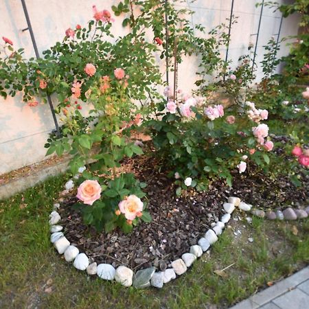 Apartmaji Lejardin Skofljica Екстер'єр фото